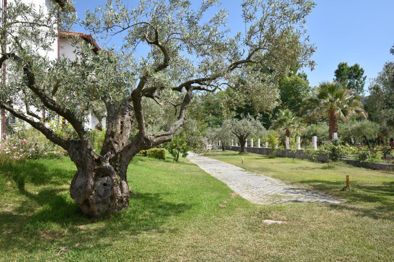 Forty Roses Βουρβουρού Εξωτερικό φωτογραφία